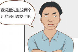 广东广东的要账公司在催收过程中的策略和技巧有哪些？